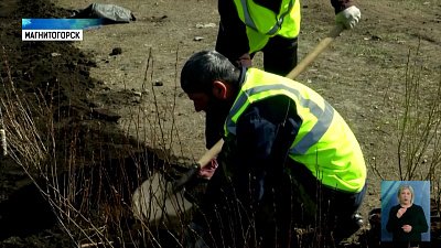 В Магнитогорске стартовал посадочный сезон