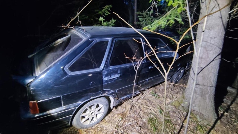 В Златоусте мужчина врезался в дерево на угнанном авто
