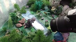 В Челябинской области сняли мультфильм про уральскую пещеру и отшельника