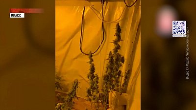 В Миассе задержали наркосбытчика