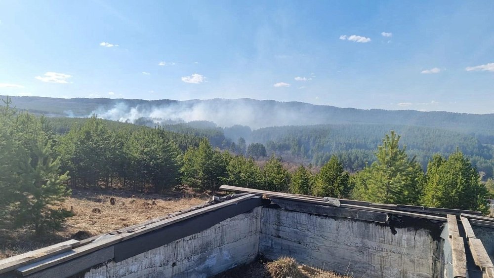 В Челябинской области загорелся лесной массив в районе «Тропы здоровья»