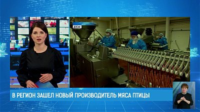 В регион зашел новый производитель мяса птицы