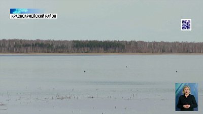 Жители посёлка Лазурный пожаловались на незаконный отлов рыбы