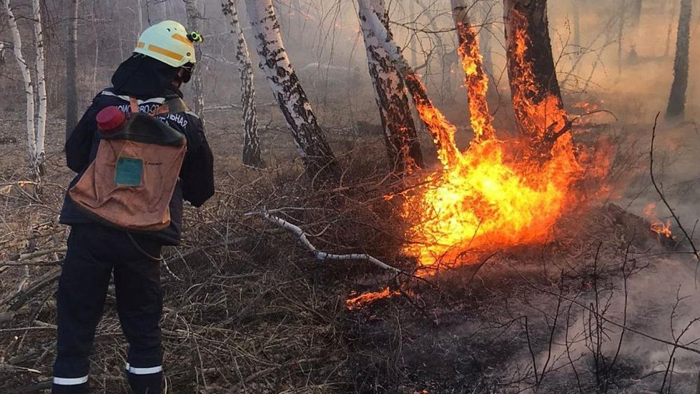 В Челябинской области четыре часа боролись с пожаром на границе с Казахстаном