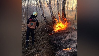 В Троицком районе почти 4 часа ликвидировали ландшафтный пожар