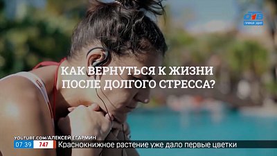 Как выйти из стресса? — в рубрике «Психологика»