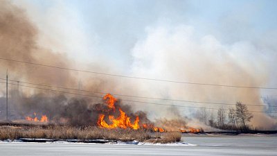 В Сосновском районе деревню Малиновка спасли от природного пожара