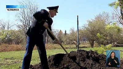 Сотрудники управления МВД посадили девять сосен