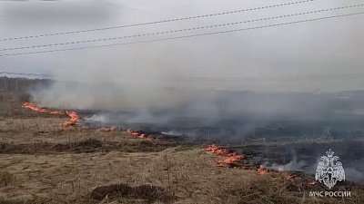 В деревне Малиновка вспыхнул ландшафтный пожар