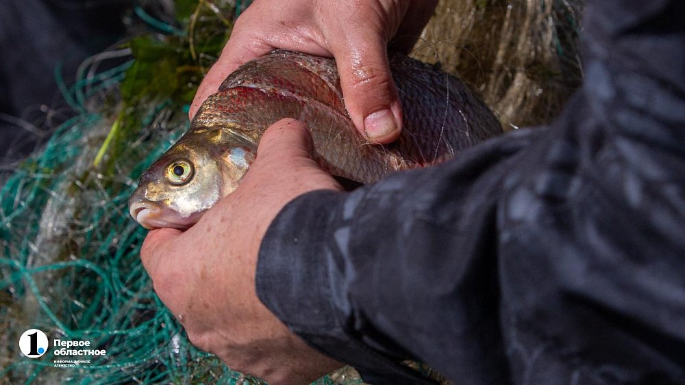 В Челябинской области с 5 мая запретят рыболовство сетями на всех озерах