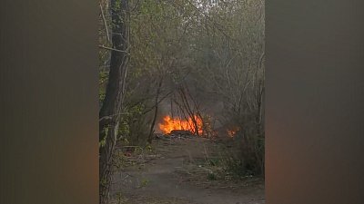 В Челябинске подростки подожгли траву