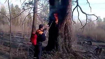 В Усть-Катавском городском округе ликвидировали пожар площадью 200 гектаров