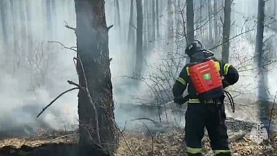Сотрудники МЧС Челябинской области работают на ликвидации пожара в Курганской области