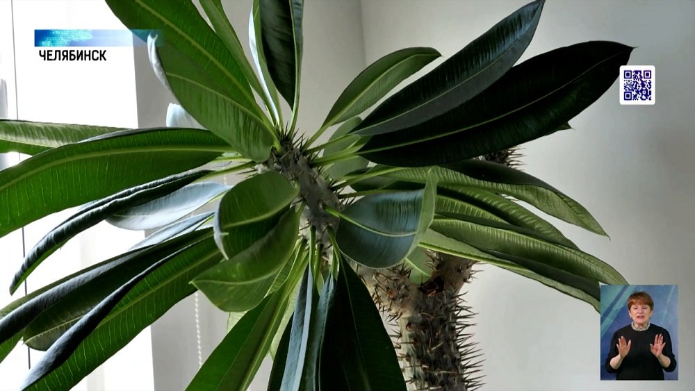 Молодые люди все чаще занимаются садоводством 