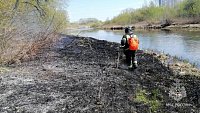 В Челябинске любители отдыха на природе устроили пожар на берегу реки Миасс