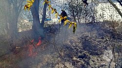 В Челябинске любители отдыха на природе устроили пожар на берегу реки Миасс