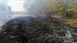 В Челябинске любители отдыха на природе устроили пожар на берегу реки Миасс