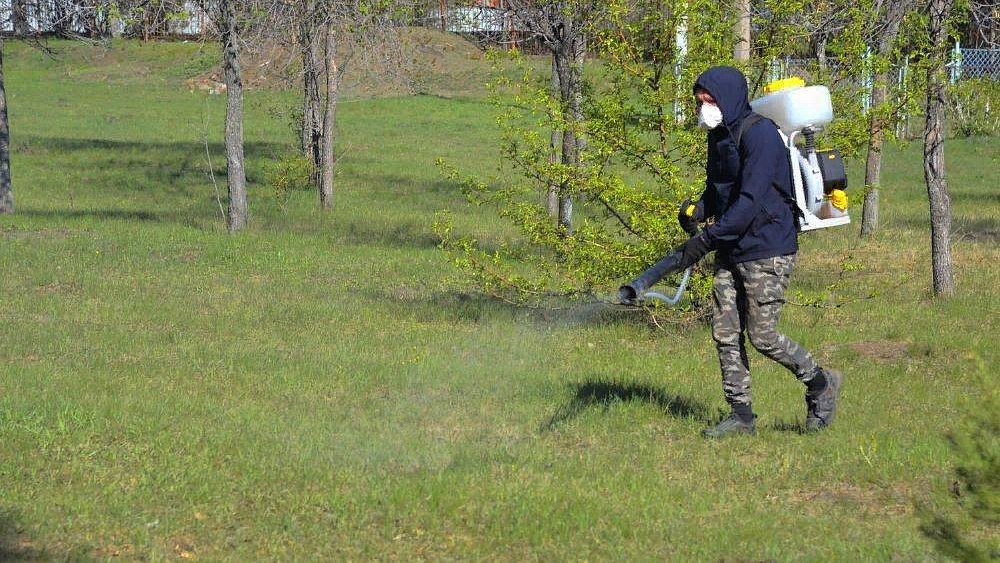 В Челябинске обработают от клещей общественные пространства Курчатовского района