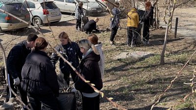 ЭкоЛогика: идем на субботник 
