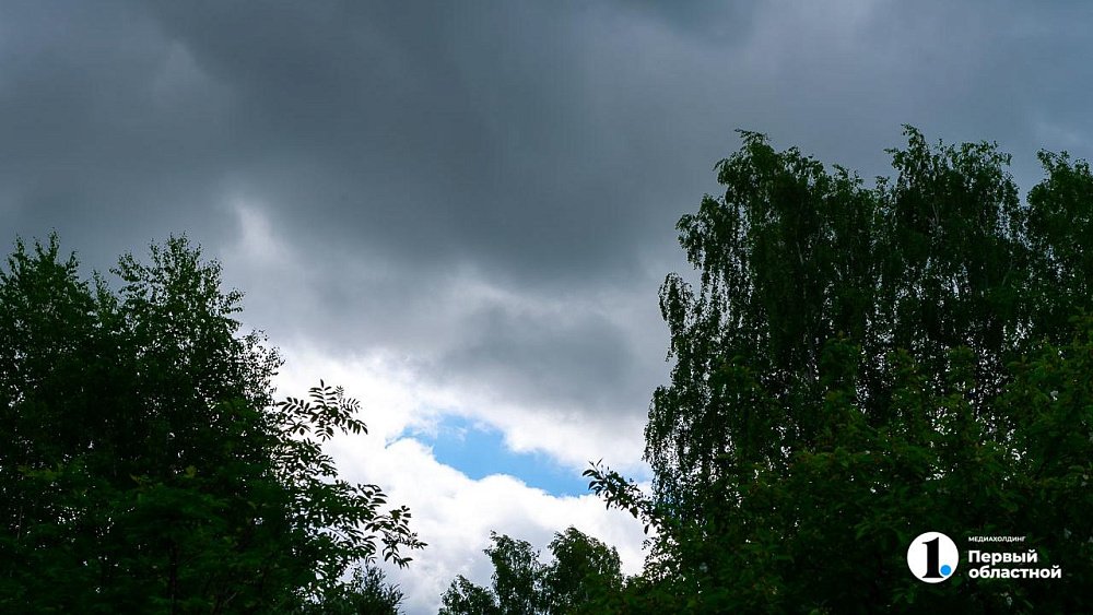 Жару до +28 градусов, дожди и грозы прогнозируют в Челябинской области 3 мая
