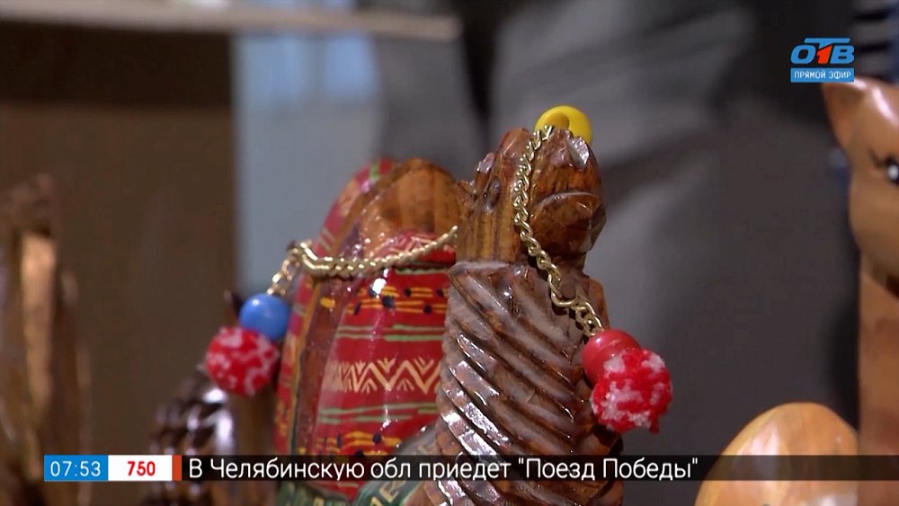 Выставка верблюдов в Челябинске в сюжете «Распаковка коллекции»