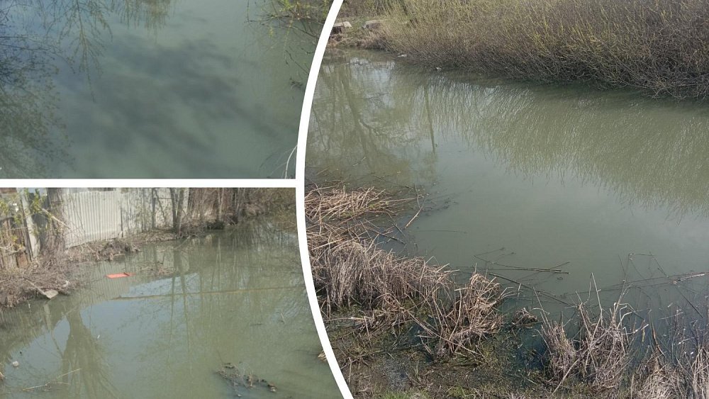 Наличие канализационных стоков в реке Чумляк Челябинской области проверяют экологи