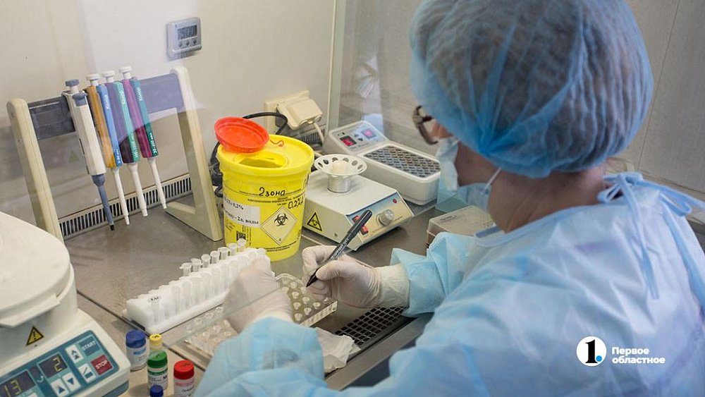 Сдать клеща на анализ в Челябинске можно по трем адресам