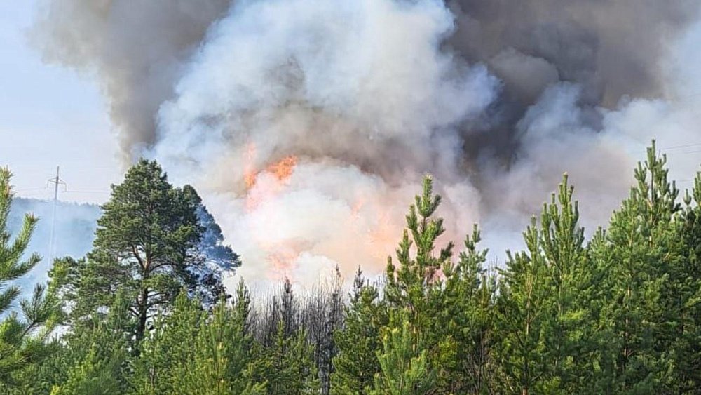 В Саткинском районе рядом с нефтепроводом вспыхнул пожар