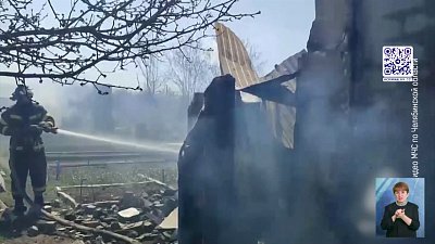 Огонь уничтожил несколько садовых домов