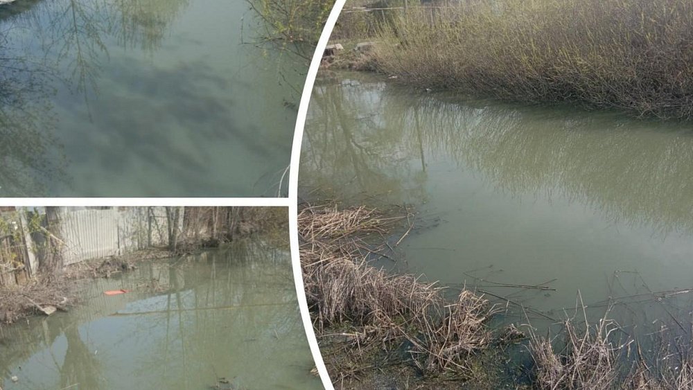 В Коркино подтвердили загрязнение реки сточными водами