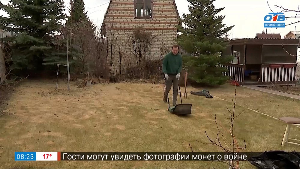 Инструменты для ухода за газоном в рубрике «Руки садовода»