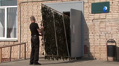 Жители Смородинки помогают землякам в зоне СВО