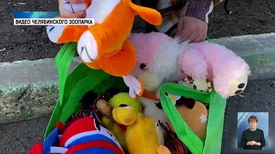 Дети пожертвовали игрушки зоопарку