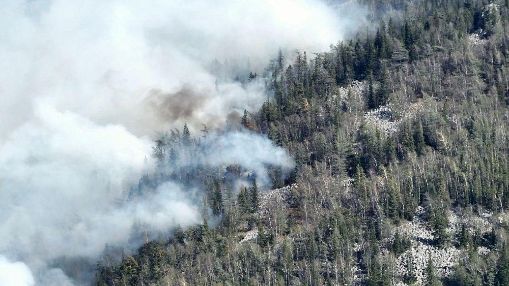 Площадь пожара в нацпарке «Зигальга» превысила 1000 гектаров