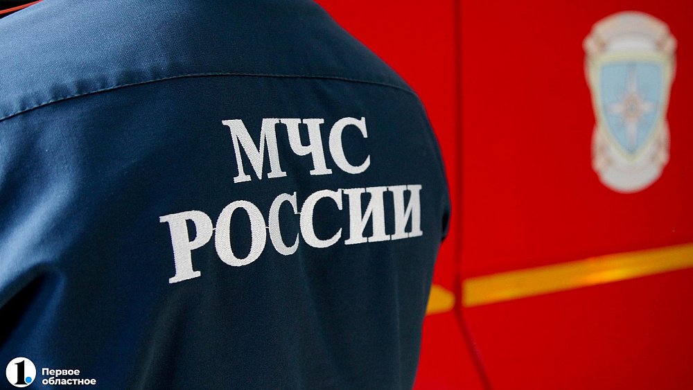 В соседних с Челябинской областью регионах локализовали большую часть природных пожаров