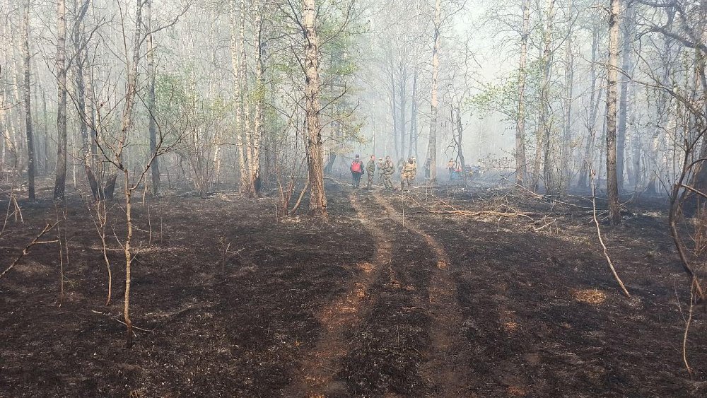 Огнеборцы локализовали пожар в южноуральском нацпарке «Зигальга»