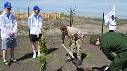 Аллею Героев заложили в Копейске возле новой школы