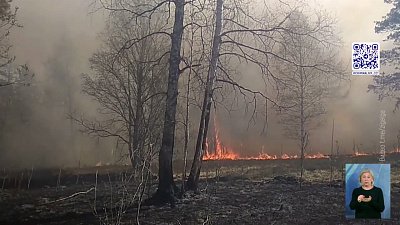 Несколько дней тушили национальный парк Зигальга