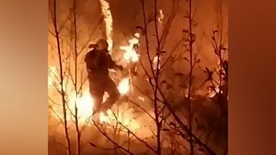 В Челябинской области стабилизировали ситуацию с лесными пожарами