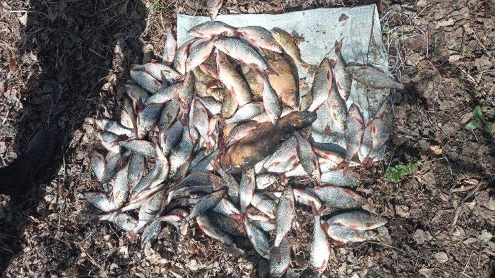 Житель Миасса пойдет под суд за ловлю рыбы в Ильменском заповеднике