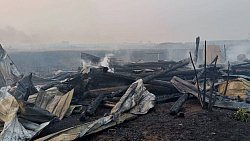 Прокуратура начала проверку по факту пожара в садах Озерска