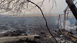 Прокуратура начала проверку по факту пожара в садах Озерска