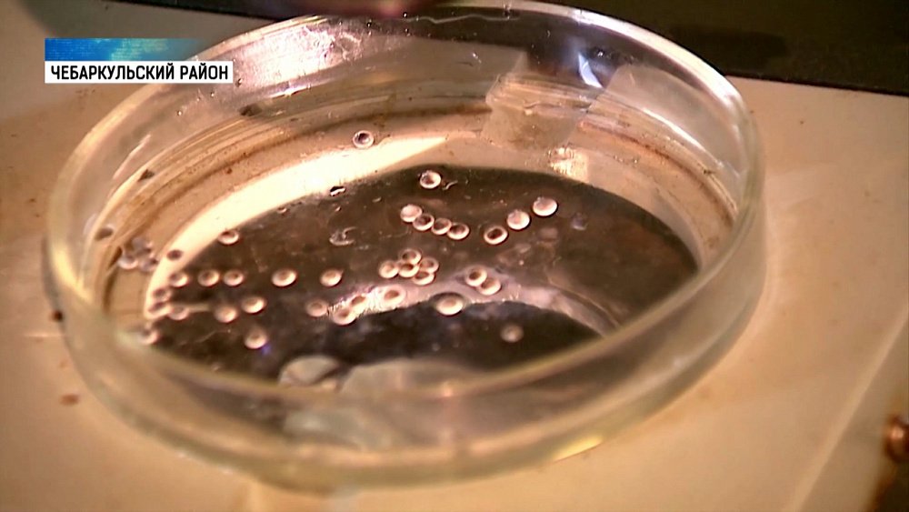 Челябинские водоемы пополнят рыбой