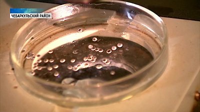 Челябинские водоемы пополнят рыбой