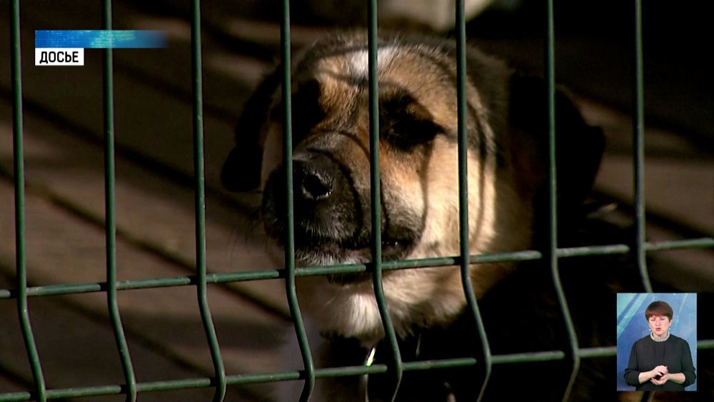 Общественники призвали доработать закон