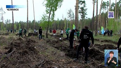 Челябинцы высадили деревья в городском бору