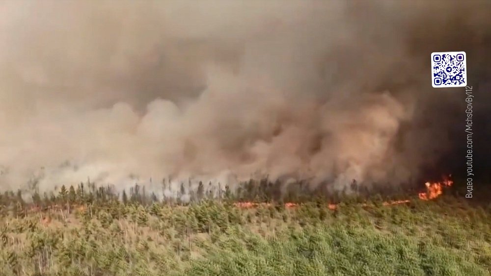 Садовод в Озерске спалил 6 домов: «Происшествия недели»