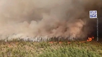 Садовод в Озерске спалил 6 домов: «Происшествия недели»