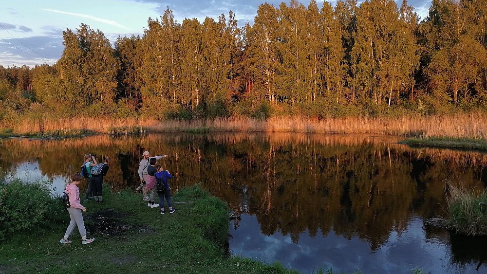 Челябинские художники сделают дневники о городском боре