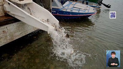 Весной зарыблят около 150 озер Весной зарыблят около 150 озер